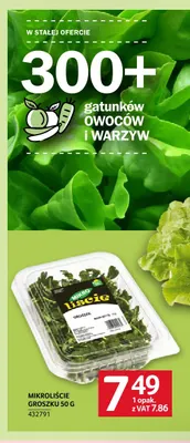 Mikroliście groszku promocja w Selgros