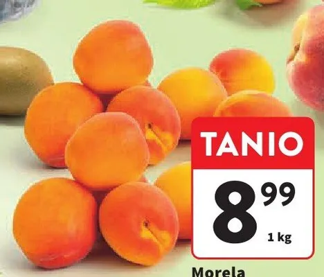 Morela promocja w Intermarche