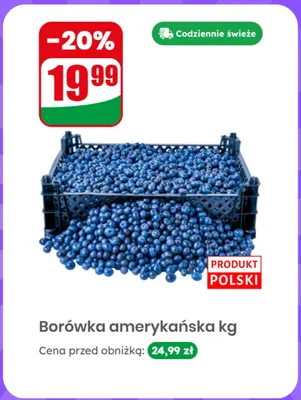 Borówka amerykańska polska promocja w Dino