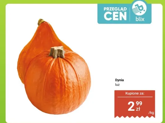 Dynia promocja w Dino