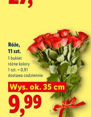 Róże 11-pak promocja w Lidl