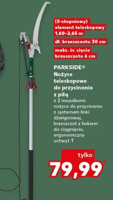 Nożyce teleskopowe do przycinania z piłą promocja w Kaufland