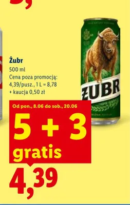 Piwo Żubr promocja w Lidl