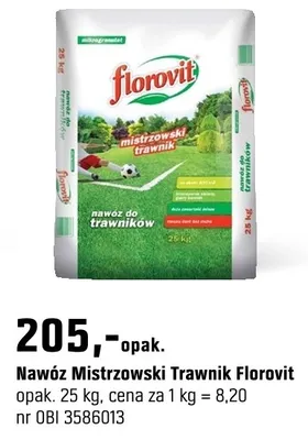 Katalog Ogród, strona 174 promocja w OBI