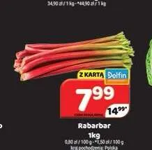 Rabarbar promocja w Delfin
