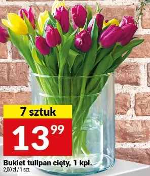 Bukiet tulipan cięty 7 sztuk promocja w Twój Market