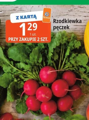 Rzodkiewka pęczek promocja w Leclerc
