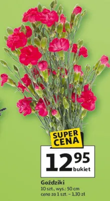 Goździki promocja w Auchan