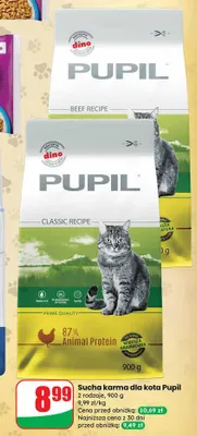 Sucha karma dla kota promocja w Dino