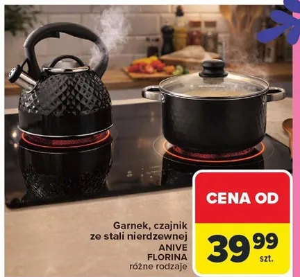 Garnek, czajnik ze stali nierdzewnej Anive Florina różne rodzaje promocja w Carrefour