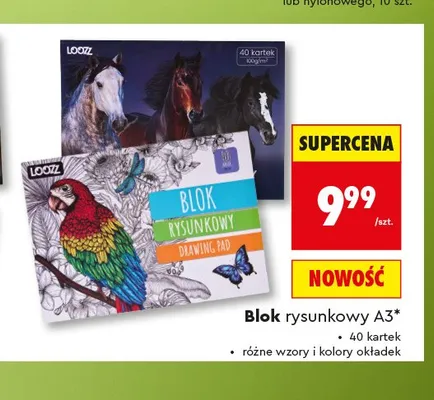 Blok rysunkowy A3 LOOZZ 40 kartek promocja w Biedronka