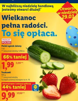 Ogórek zielony promocja w Lidl