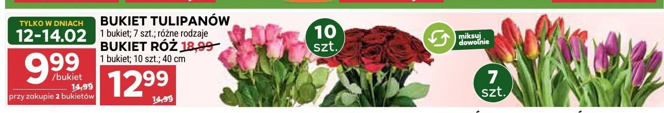 Bukiet tulipanów promocja w Stokrotka