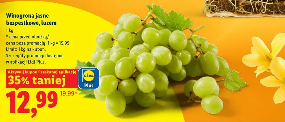 Winogrona jasne bezpestkowe luzem Lidl promocja w Lidl