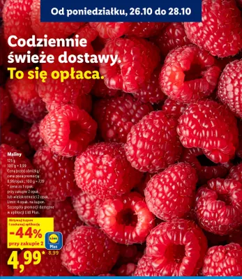Maliny promocja w Lidl