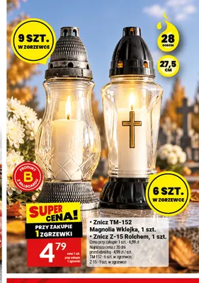 Znicz TM-152 Magnolia Wklejka promocja w Twój Market