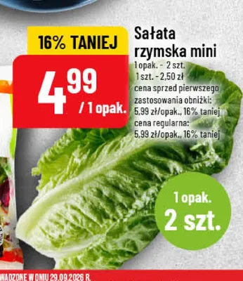 Sałata rzymska mini promocja w POLOmarket