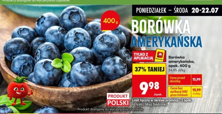 Borówka amerykańska hiszpania promocja w Biedronka