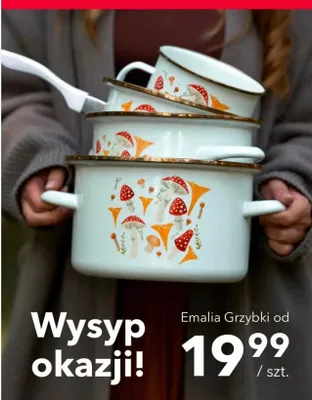 Naczynia emaliowane Emalia Grzybki promocja w Nela