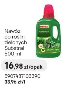 Nawóz do roślin zielonych promocja w Castorama