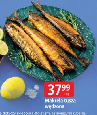 Makrela tusza wędzona promocja w Leclerc