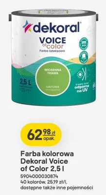 Farba kolorowa Voice of Color 2,5l promocja w Castorama