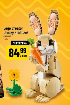 Creator Uroczy króliczek promocja w POLOmarket