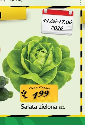 Sałata zielona promocja w CEZAR Delikatesy