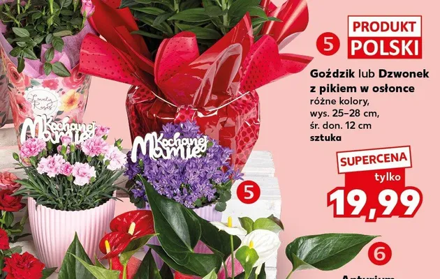Dzwonek z pikiem w osłonce wys. 25-28cm śr. don. 12cm polski promocja w Kaufland