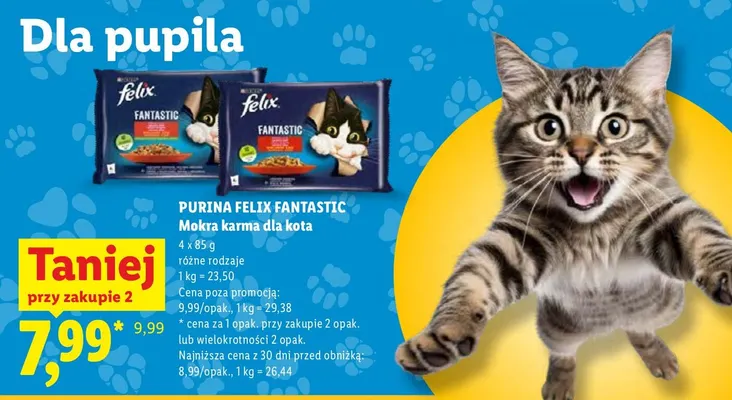 Mokra karma dla kota Purina Felix Fantastic 4-pak promocja w Lidl