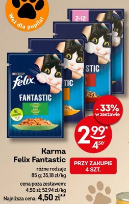 Karma Felix Fantastic różne rodzaje promocja w Żabka