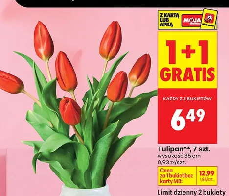 Tulipan 7 szt. promocja w Biedronka
