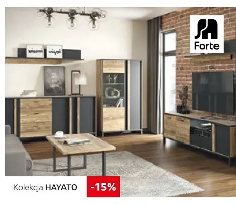 Kolekcja Hayato Forte promocja w Komfort