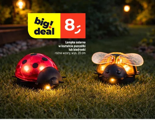 Lampka solarna w kształcie pszczółki lub biedronki promocja w Dealz