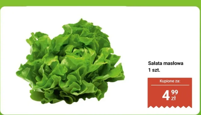 Sałata masłowa 1 szt. promocja w Biedronka