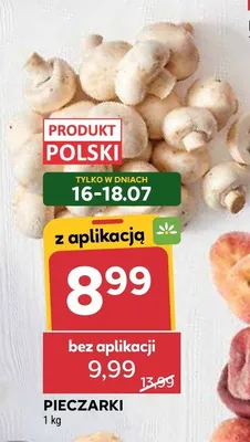 Pieczarki promocja w Stokrotka
