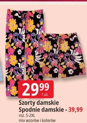 Szorty damskie promocja w Leclerc