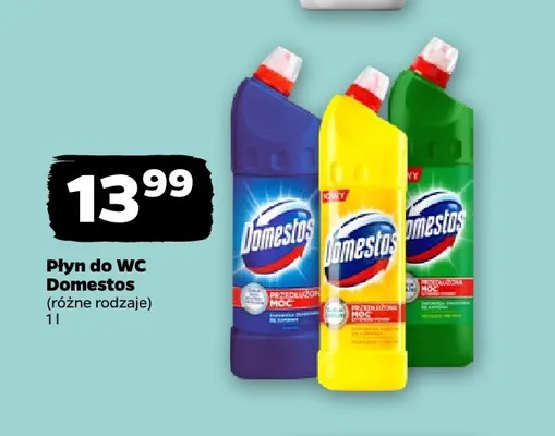 Płyn do WC Domestos promocja w Netto