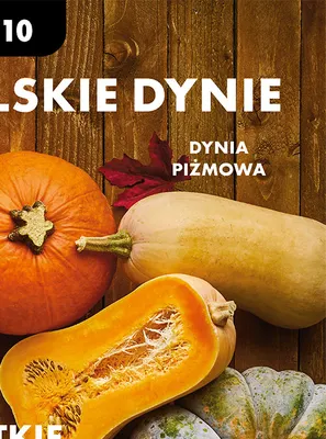 Dynia piżmowa promocja w Biedronka