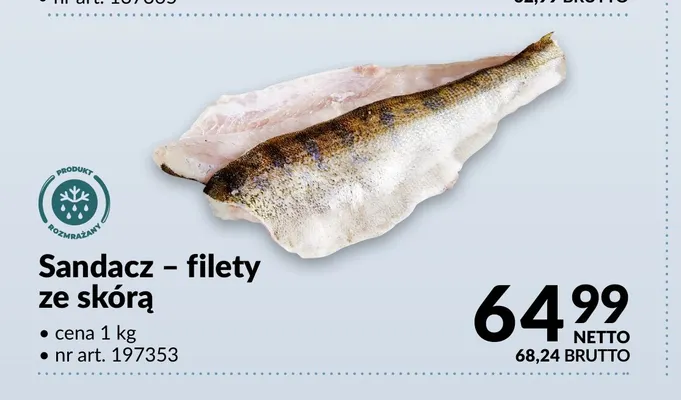 Zębacz filet ze skórą Sona promocja w Makro