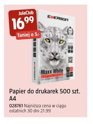 Papier do drukarek A4 500 szt. Emerson promocja w Jula