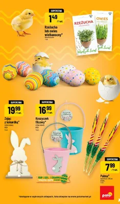 Palma promocja w POLOmarket