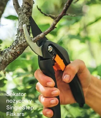 Wycinak do chwastów promocja w Castorama