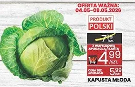 Kapusta młoda promocja w Wafelek