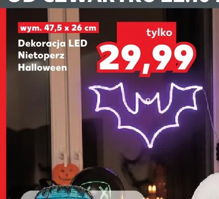 Dekoracja LED nietoperz Halloween promocja w Kaufland