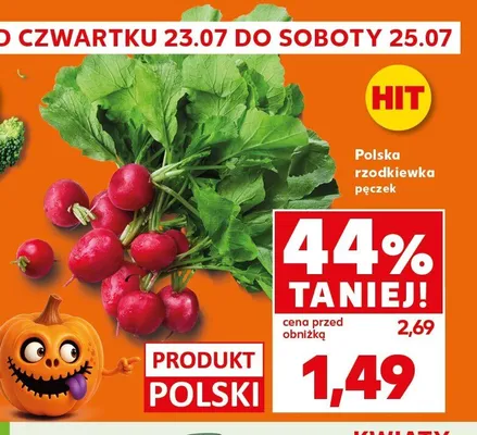 Rzodkiewka polska promocja w Kaufland