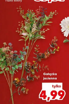 Gałązka jesienna promocja w Kaufland