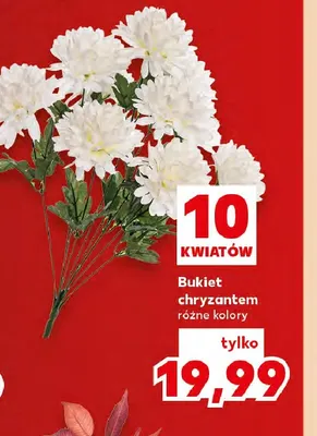 Bukiet chryzantem 10 kwiatów promocja w Kaufland