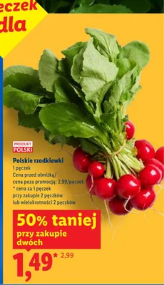 Polskie rzodkiewki promocja w Lidl