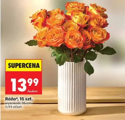 Róża 15-pak promocja w Biedronka
